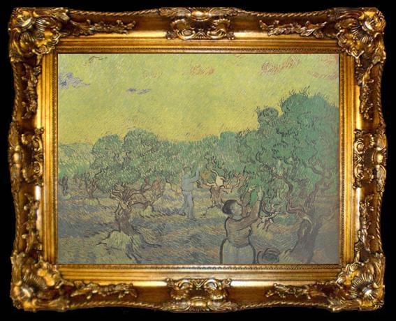 framed  Vincent Van Gogh Olive Grove with Picking Figures (nn04), ta009-2